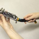 clarinet snake multicolor 1