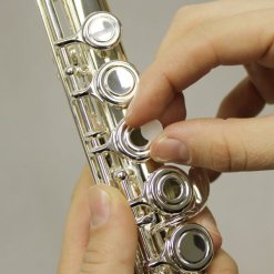 Flute Plugs