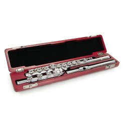 Altieri Flute Cases